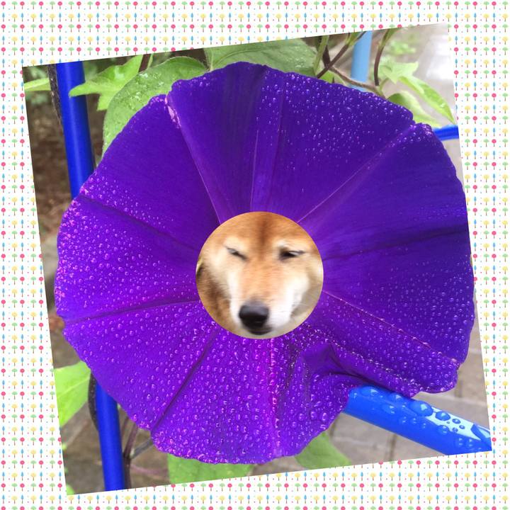 A568ee32 7e34 4b97 90f9 7d0831e53535 1563845863178