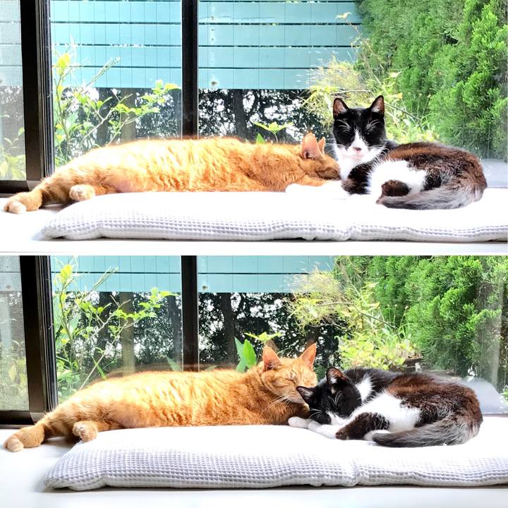 A5697575 dfa6 4a5c 96eb 65775fa2ece9 1527662213249