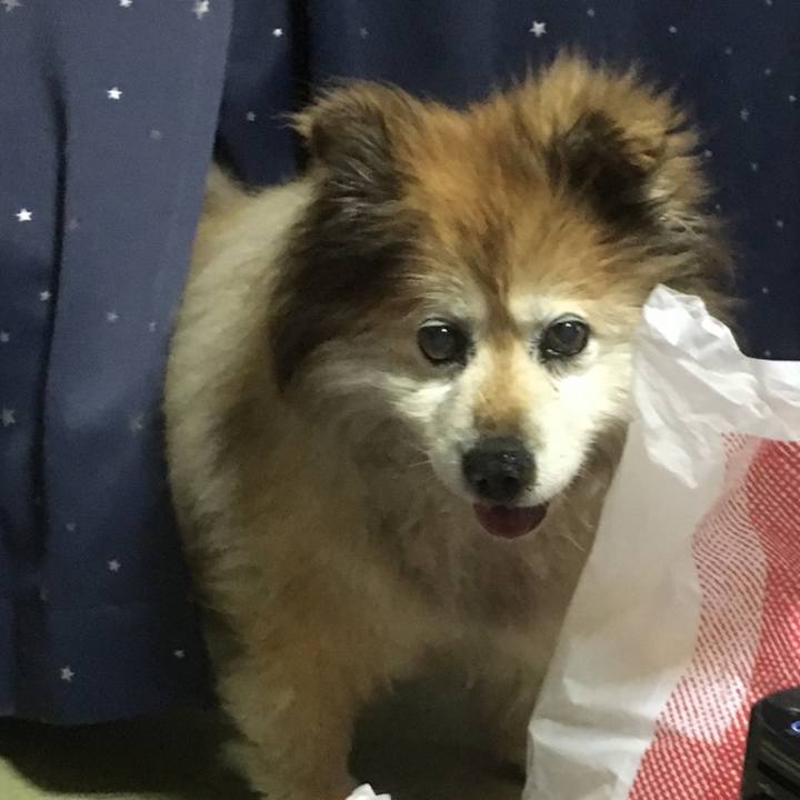 A569b540 7058 43a3 b4b2 d21c774e682c 1617769649787