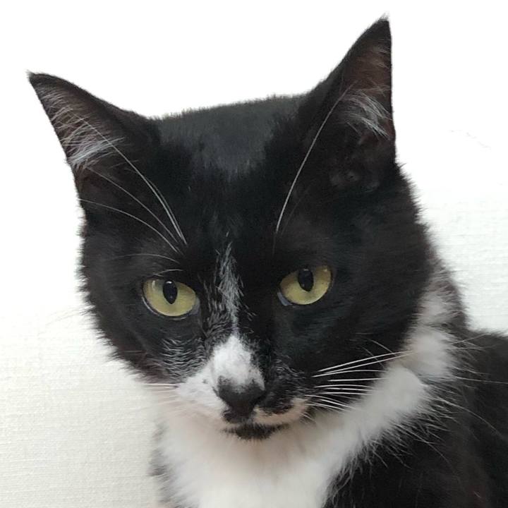 A569ba76 36cb 411c 84b1 e54eaa0abb25 1566031335061