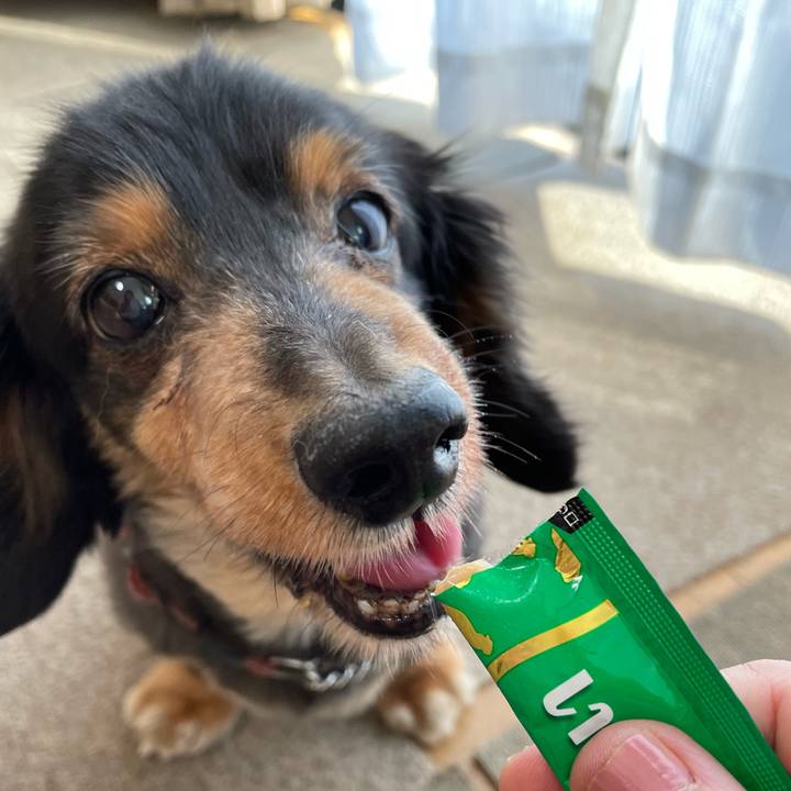 A569dadb 5cf5 4ea3 beca 2f729c6d73ea 1650406228115