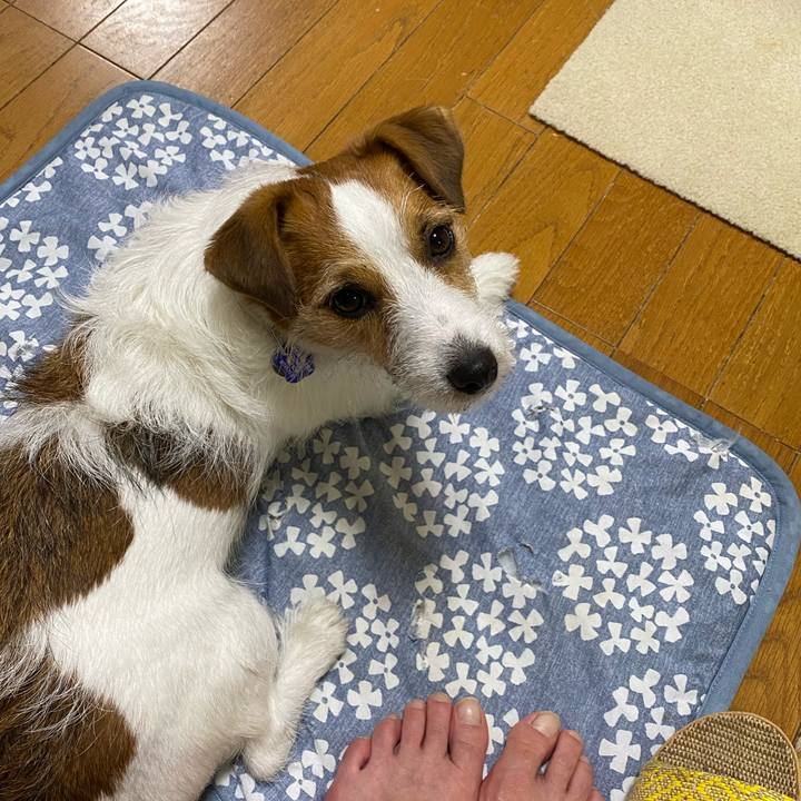 A569e4b5 0ce3 4289 abc7 fea8e960ff5e 1719663993708