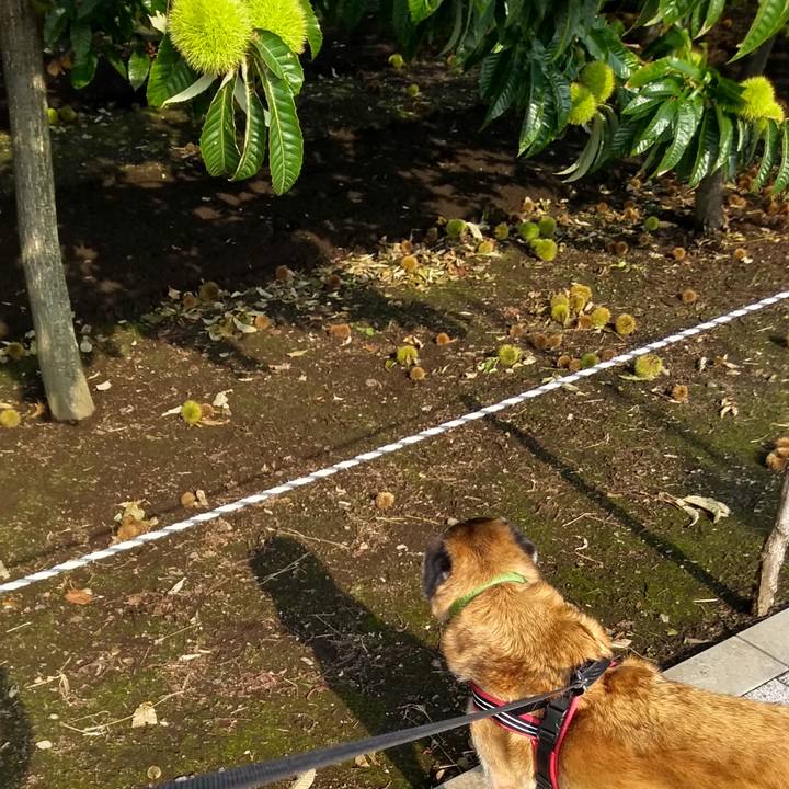 A56a1137 1059 4429 b399 21f8e6c0d2c5 1568158490324