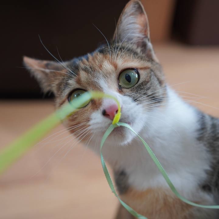 A56a5947 b67b 46e5 bd18 bbda88bb960b 1618495780979