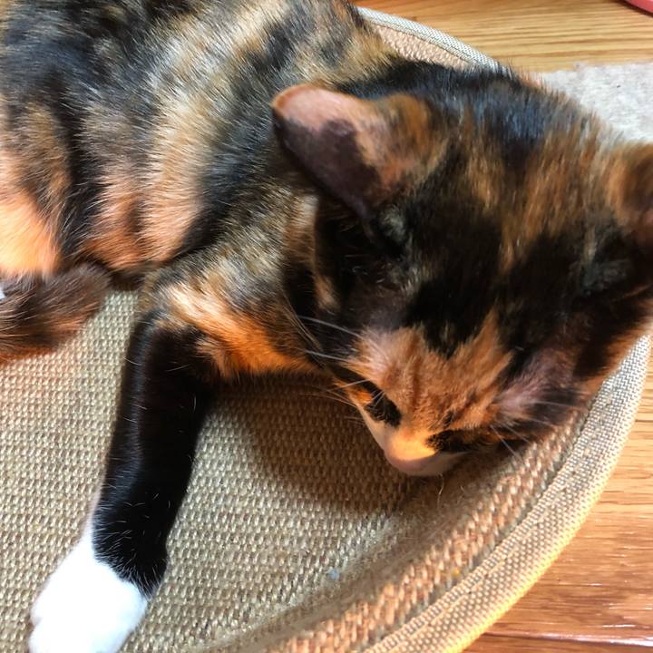 A56a834f 25d2 4d39 be29 fb0550a7023e 1549803242927