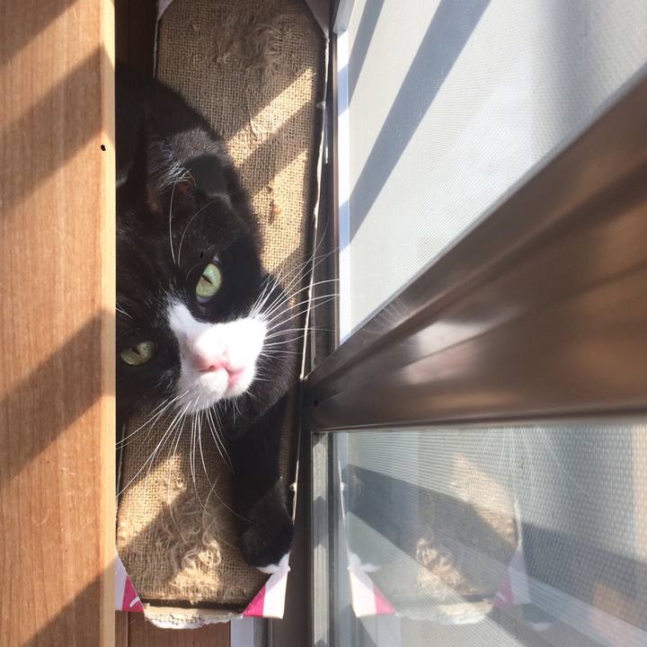 A56aa8ef b42d 41ef a96a 5ba13084b3fe 1509755586282