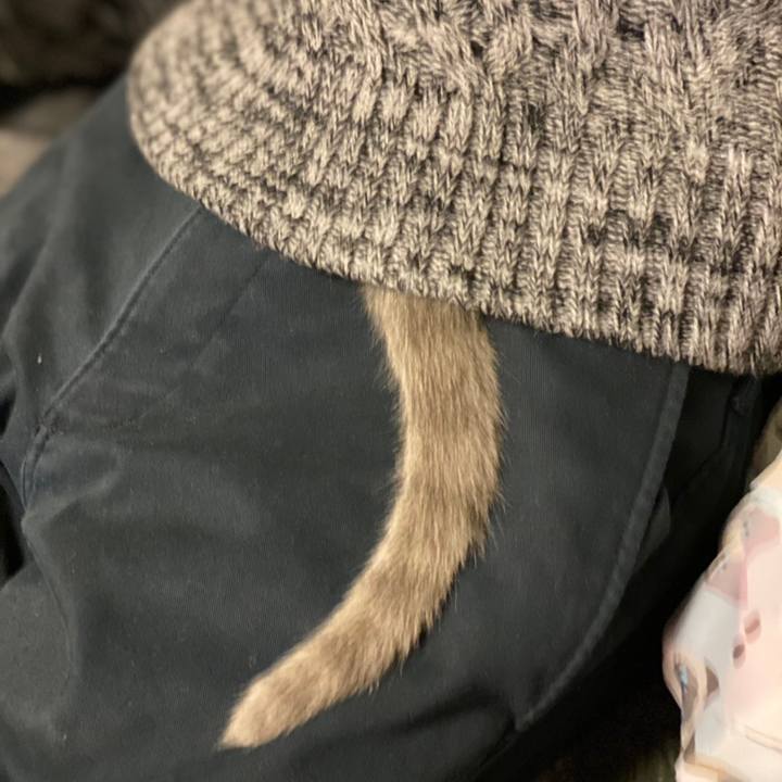 A56ab4a5 a49b 4d99 b75f bfee25798c6b 1608420509312