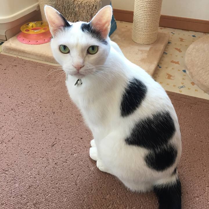 A56abd4a 57d1 4f42 8dec 874ed1f0aa12 1527997144152