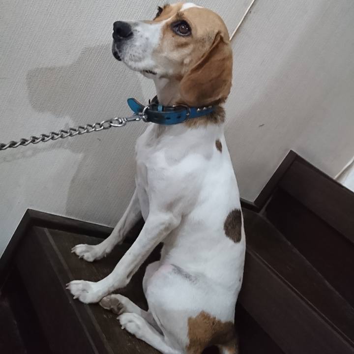 A56b088f 3eda 42df aebb 537e6c79e3c4 1566552599222