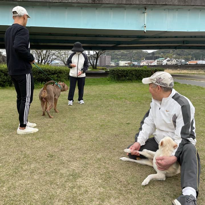 A56b0b09 0bfa 474e b65d 1c219ae26b60 1680185732421