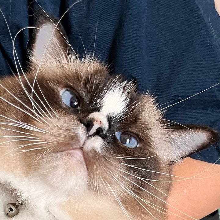 A56b0cc0 1e15 4512 ad29 1f2c74034c3f 1664121695035