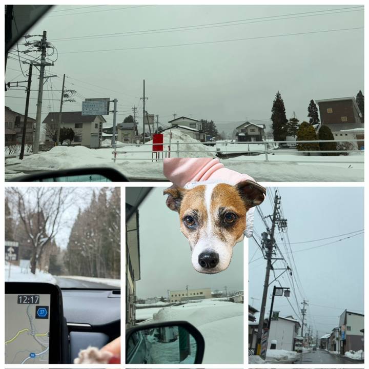 A56b29c3 5da8 4d23 b3a5 06054a00e17f 1770419767341