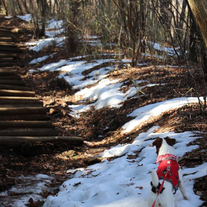 A56bc511 66f3 423e 8026 d30ab9e92449 1518862971022