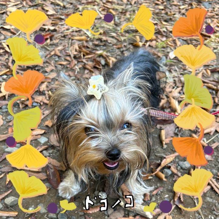 A56bfb26 3fa2 485e bcee dd2baa8ce661 1729259119675