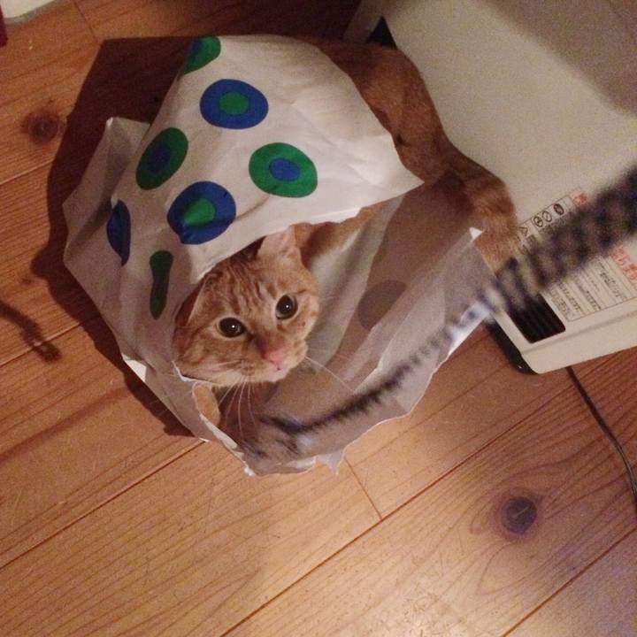 A56c12e5 2533 451a 8139 54921dd0232e 1510836229902