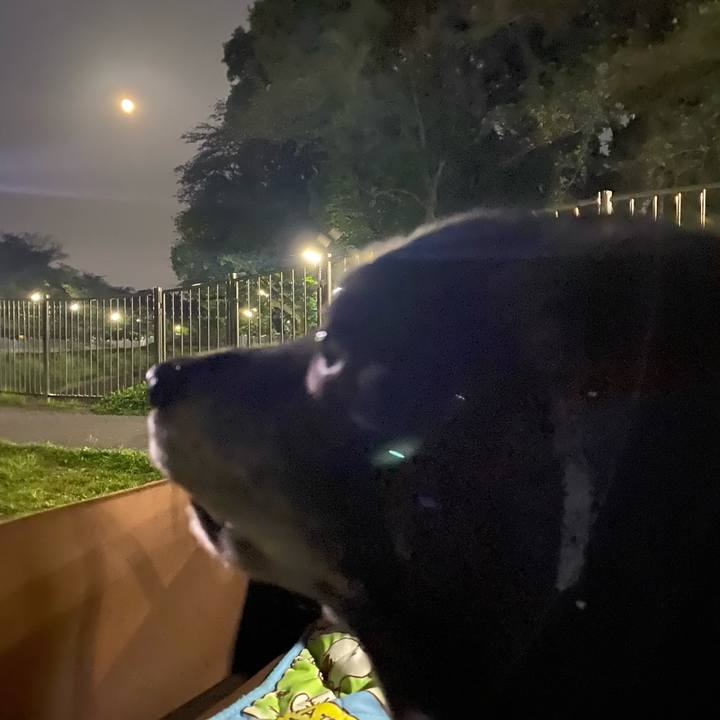 A56c22f8 acaf 4a4e b8ac 5cd7738cb7e8 1747267449586