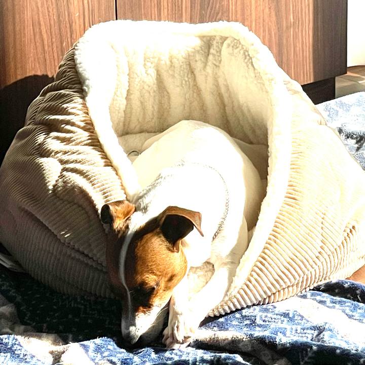 A56c55c4 e7e7 493f a1f9 5b9d6d0fe15f 1645576902731