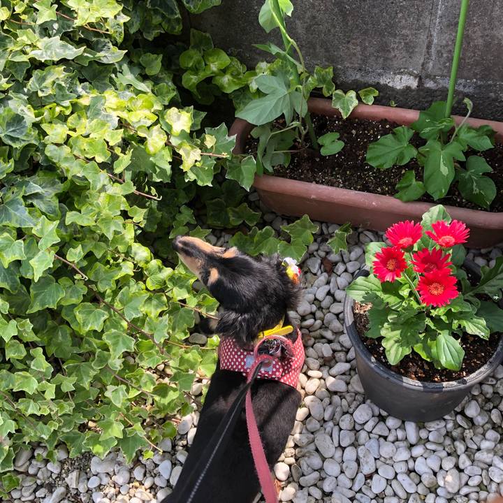 A56c6b74 1f87 4d44 8d54 1d93715c1ae5 1591143330317