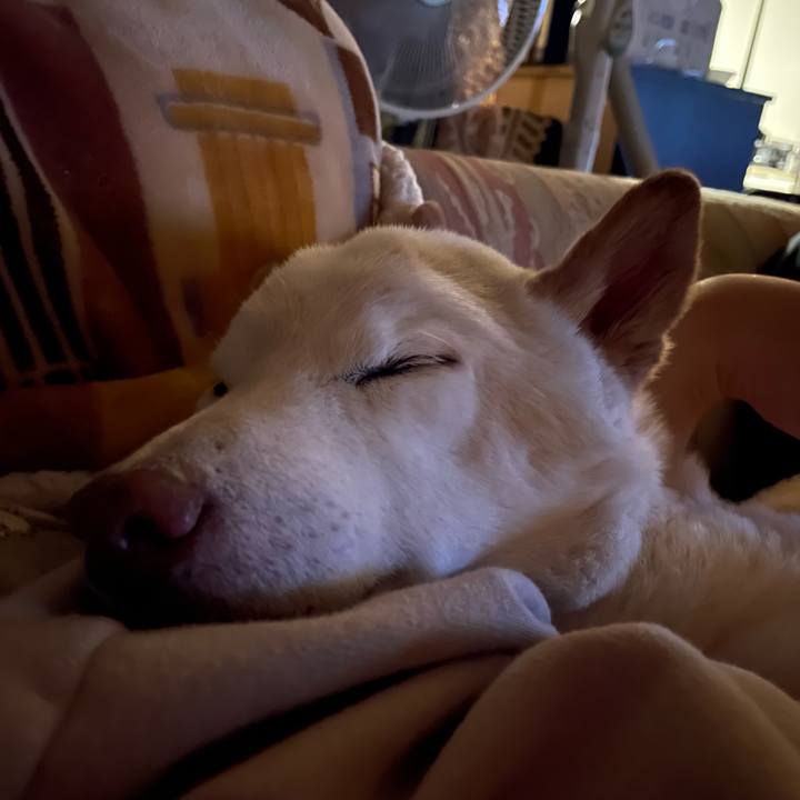 A56cb07d 2da1 4ce8 8a12 ba04a338ed06 1649338706580