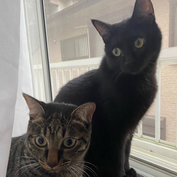 A56d037c e417 405f 8c62 8dfdad69e178 1630667489893