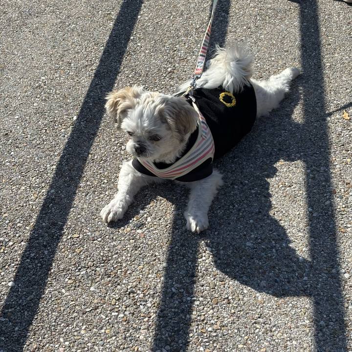 A56d04da 4b2a 46ef 9002 63307d6c9528 1764798533540