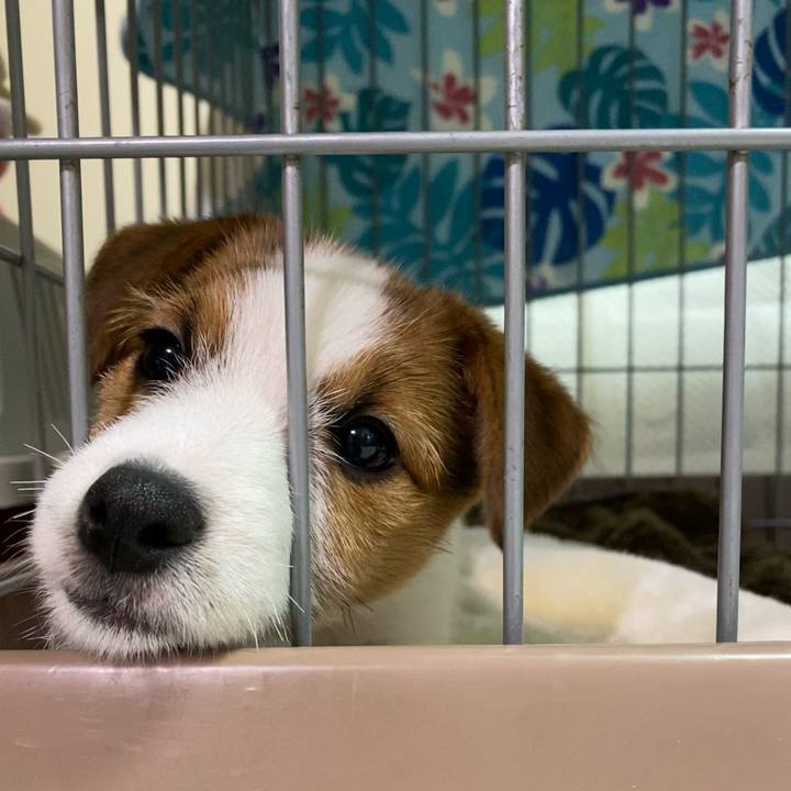 A56d1581 d8fe 4524 932b 6348a0dcfec1 1610698562694