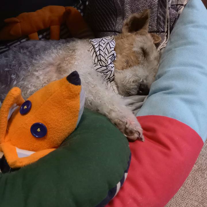 A56d18b6 8fe7 4253 a4ab 0c47828df293 1624801575469