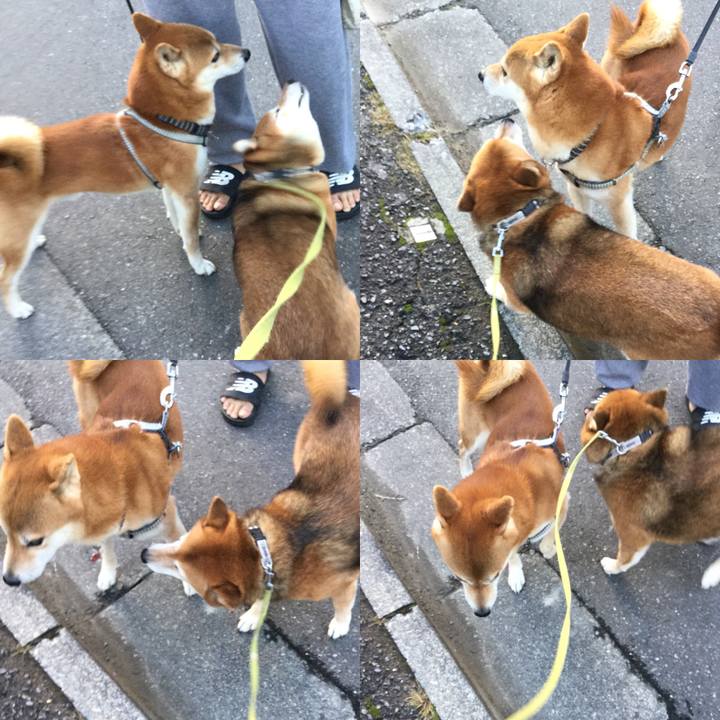 A56d69a5 cd6e 49f2 8401 2094f77d152a 1603270386572