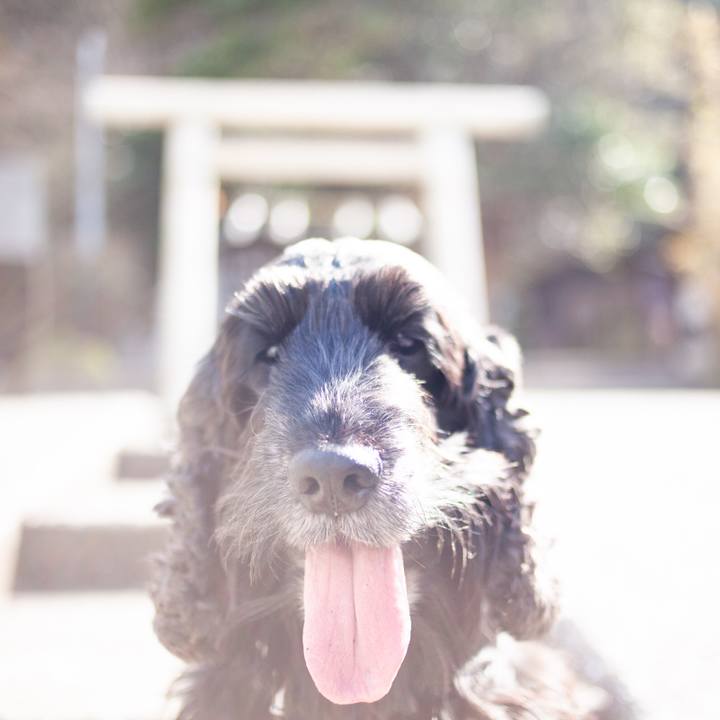 A56d856f 0041 420f 89ad 7810e675dd2e 1550852053510