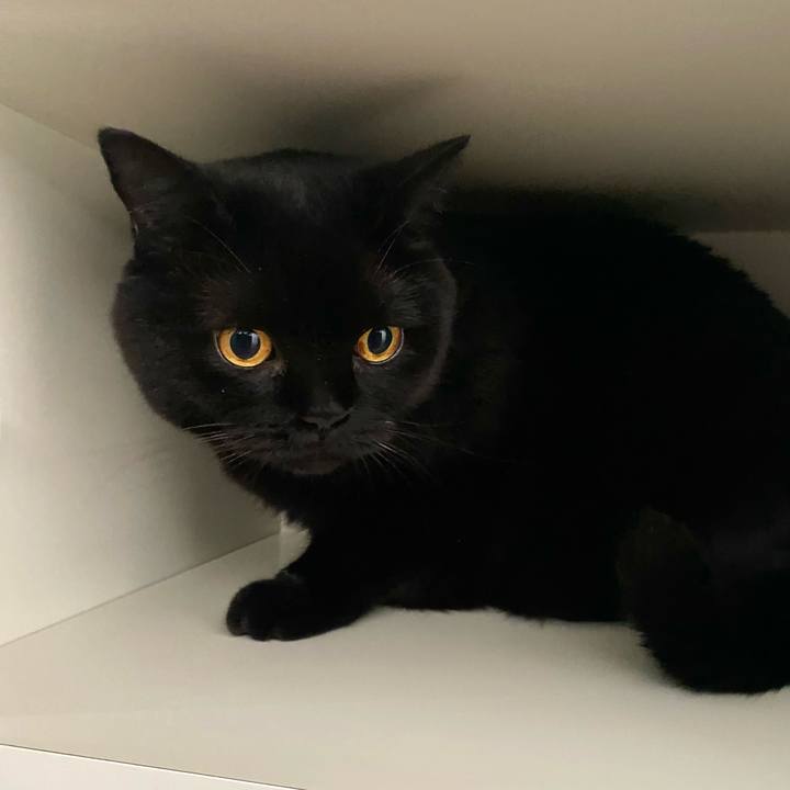 A56db36d 1ed3 4523 9b0e 8d8cab025e0c 1693523578432