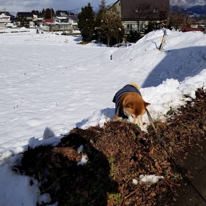 A56dbc81 edd9 4d44 8bd3 5886843272f9 1580539101176