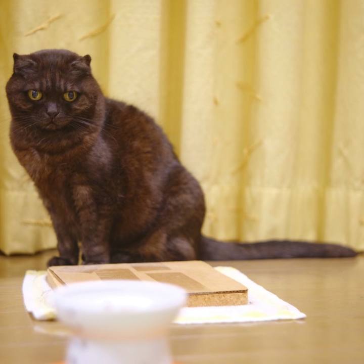 A56dc18b 7bf1 4539 bf82 fd994248d288 1617294994383