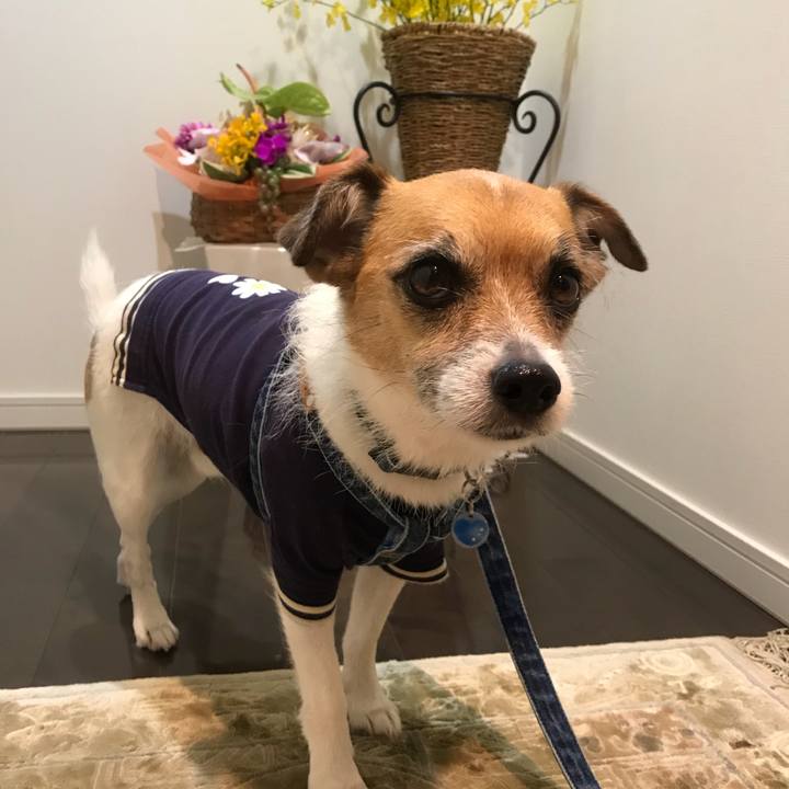 A56de71a 4a85 4876 aa29 641962e03983 1529136797096