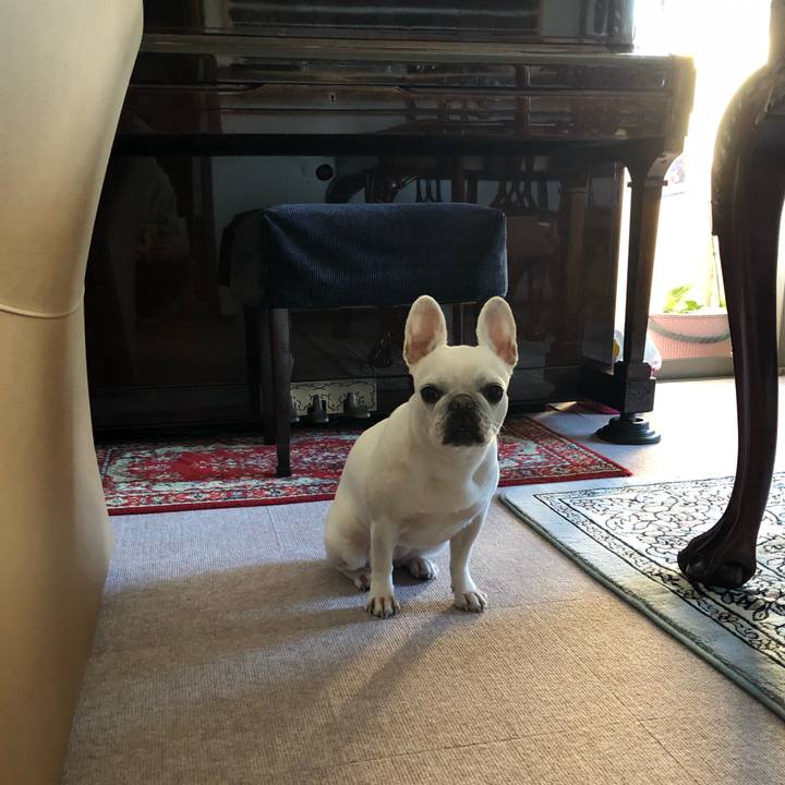 A56dfa1e b339 41b9 a171 0efe7ed86411 1581145669406