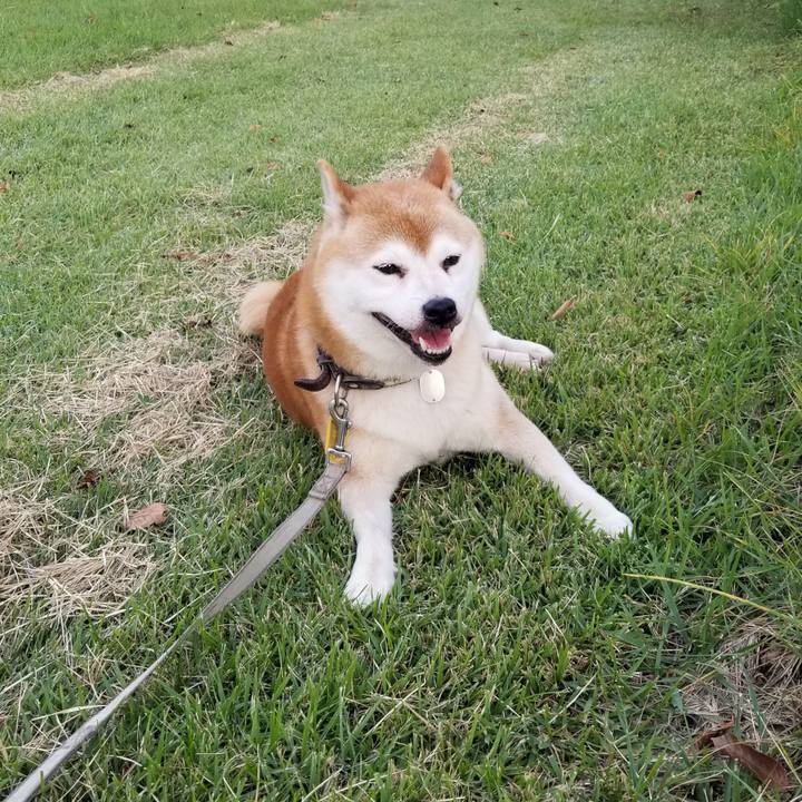 A56dff4b 30b8 4a5c 9514 214ba9ae0e33 1633332614577