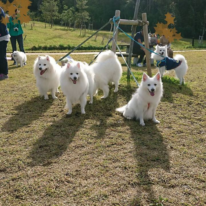 A56e2238 722c 4724 a87a 57944e9eca38 1571666645014