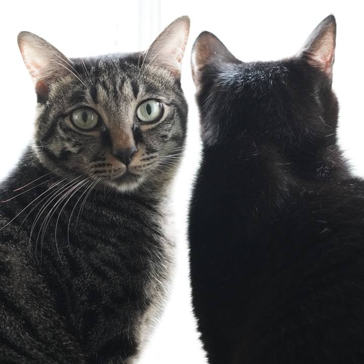 A56e2506 9b68 4384 a387 0079e3c59d32 1664456073401