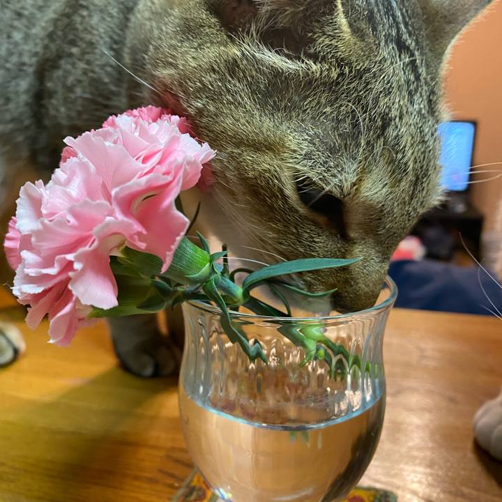 A56e3f09 558f 4a03 8944 62186559bfc2 1638913308848