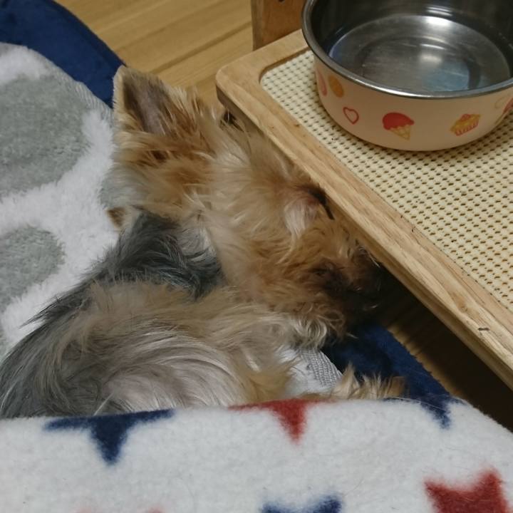 A56e4190 ef33 42f4 a1ab 58a956b48097 1554209187900