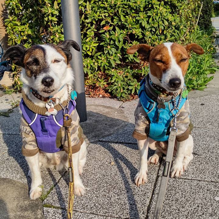 A56e4327 0458 4a85 abdc 397652a682ad 1649284545292