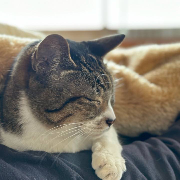 A56e47c8 a94f 4508 a410 618ae5540237 1670381427006