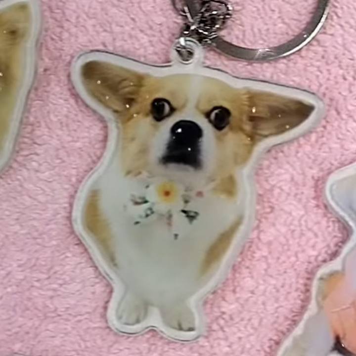 A56e6689 729f 4868 8463 59bfbcd930a4 1730982639753