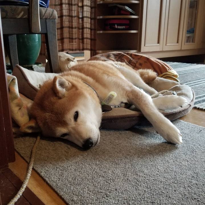 A56e66eb b277 40a9 9a9d 9cd97f3d19f6 1665011692279