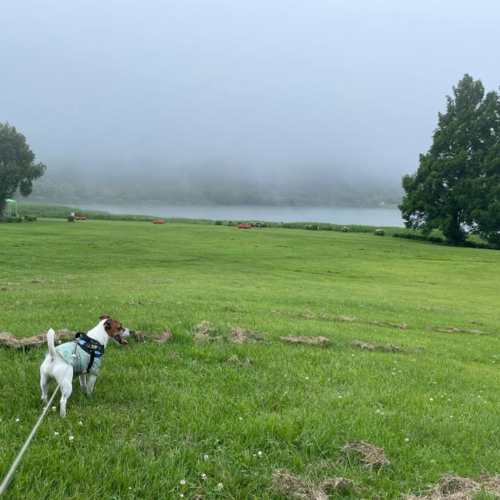 A56f50c8 c02f 4a86 ae6e a35fcba2222f 1722941537136