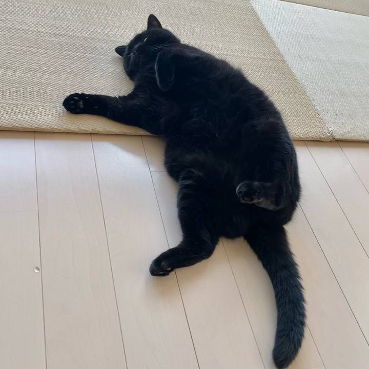 A56f5e43 3867 4b98 819b e7ae773c5715 1759217554779