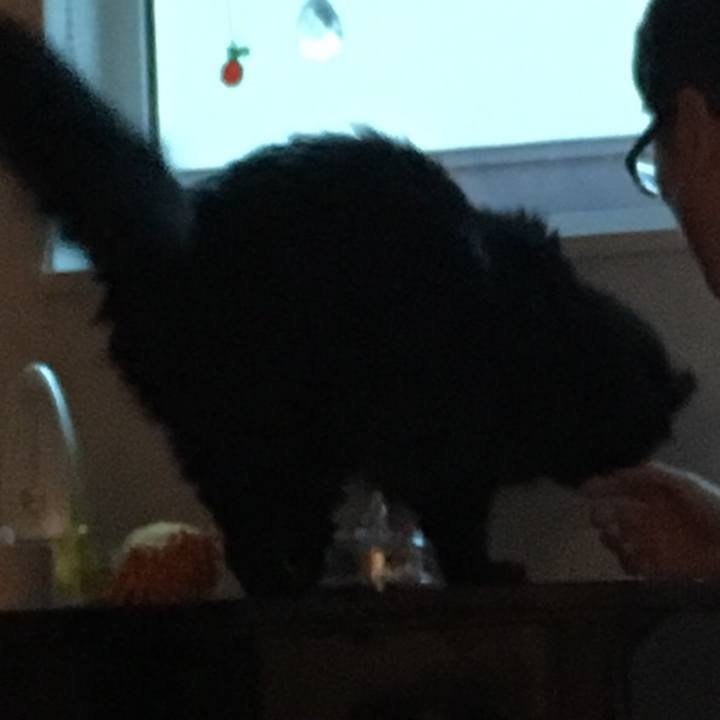 A56fa198 8957 49d6 b564 7be53b1f8960 1561946943369