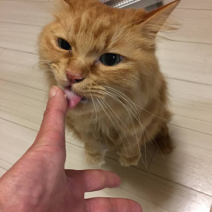 A56fb6b1 0f89 4a3b 9715 9306ccd584be 1518214813400