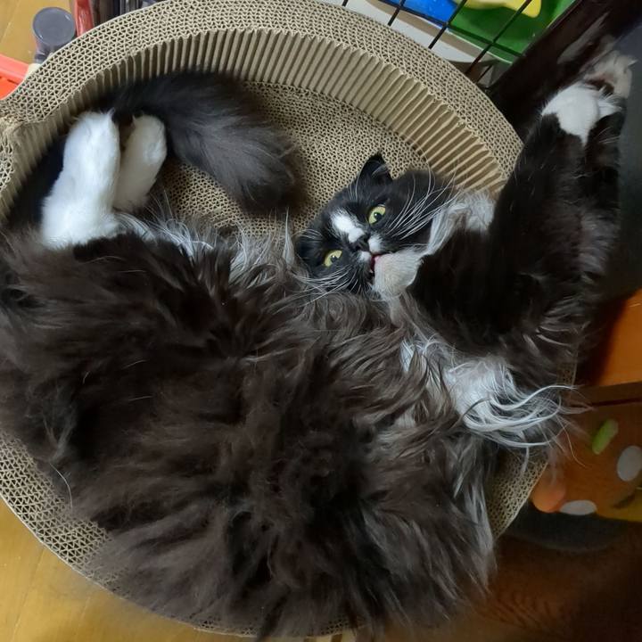 A56fd365 8a36 4161 9d12 09408ada2ea4 1673514722759