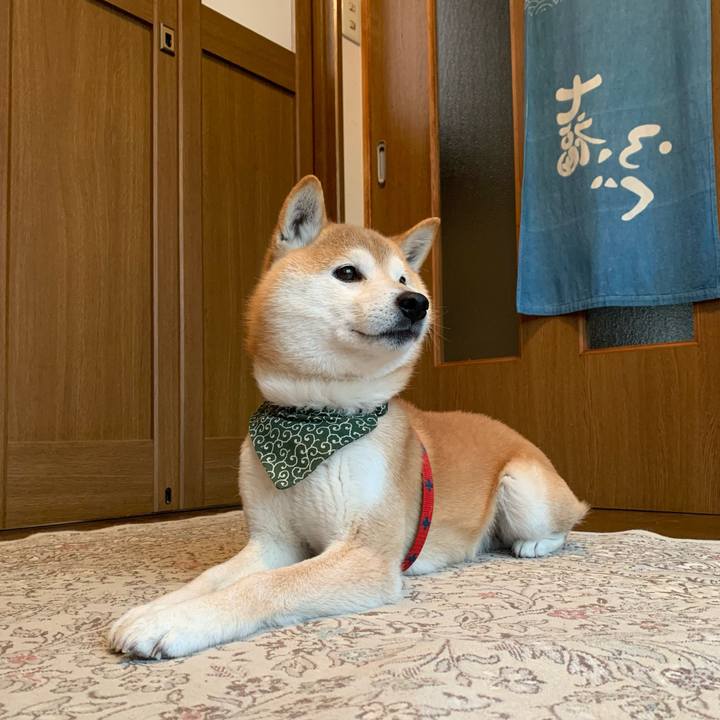 A56fe5e8 902e 4289 949c 4985dcd6e10c 1648976040618