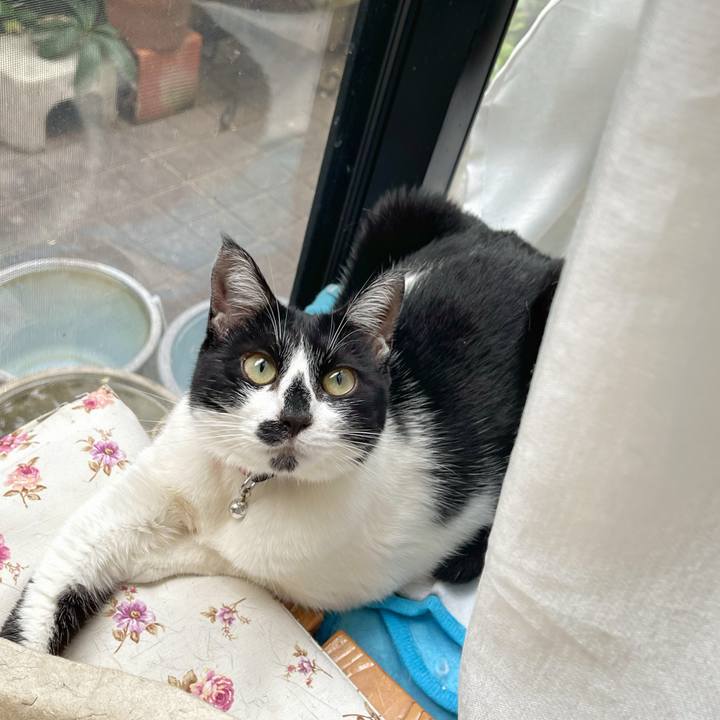 A5702532 85eb 4e12 95dc 8a005961e963 1745121055540